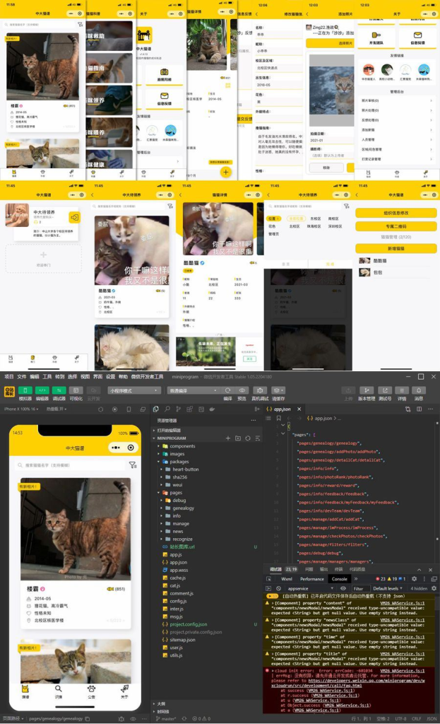校园流浪猫信息记录和分享的小程序源码/微信云开发中大猫谱小程序源码-YISHEN源码商店