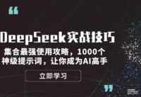 图片[1]-DeepSeek实战技巧：集合最强使用攻略，1000个神级提示词，让你成为AI高手 -YISHEN技巧分享